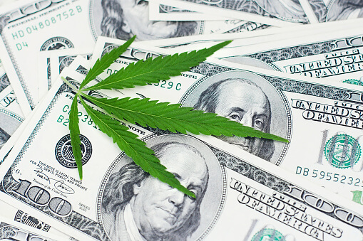 Bookkeeping for Cannabis Businesses in California